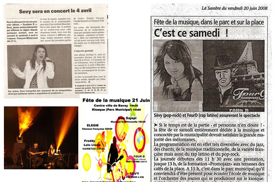 S�vy souvenirs 2008, le concert et autres